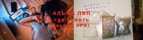 стаф Нея