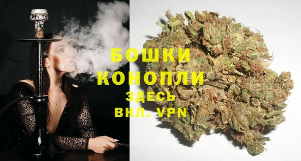 СК Новозыбков