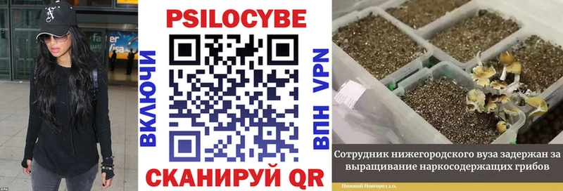 Галлюциногенные грибы прущие грибы  Зубцов 